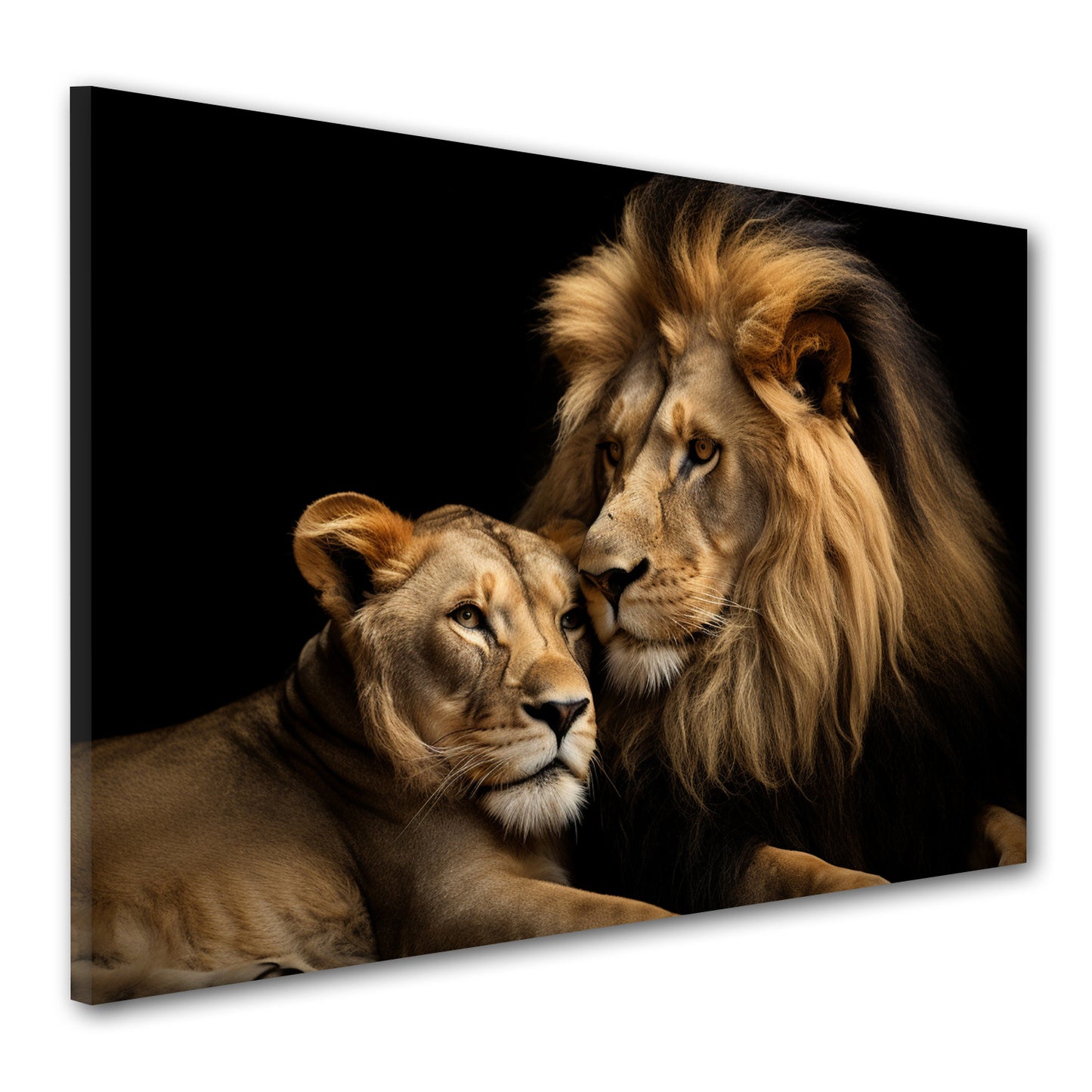 Quadro Beautiful Lions, leoni