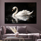 Quadro cigno bianco elegante natura stile moderno