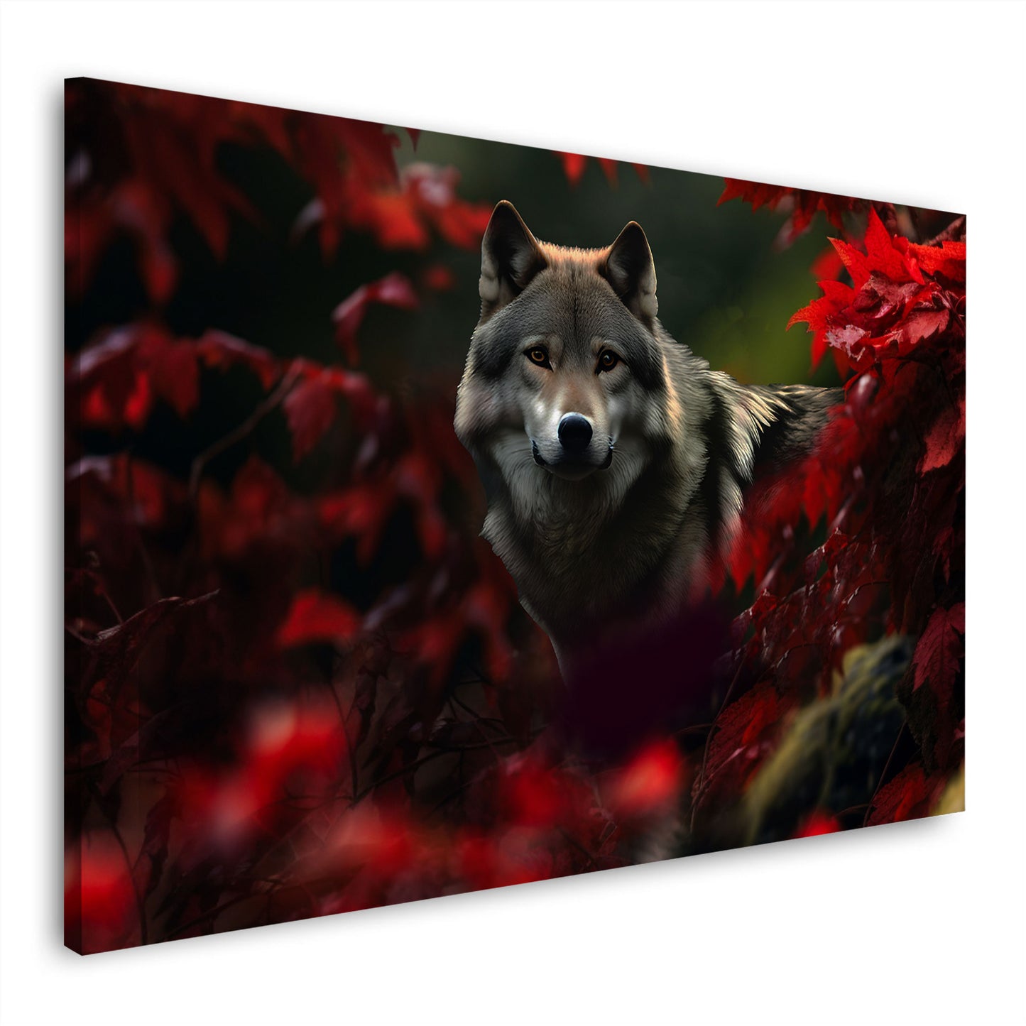 Quadro moderno Lupo nella foresta