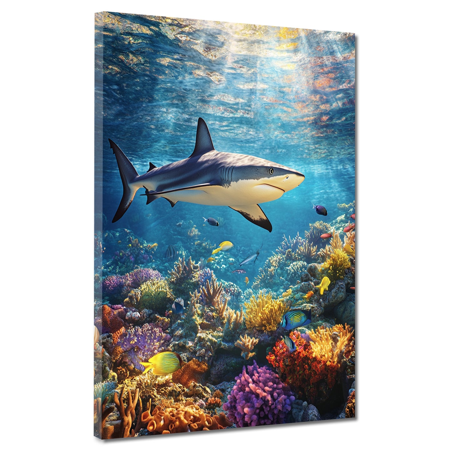 Squalo in oceano tropicale quadro