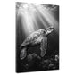 Tartaruga marina bianco e nero quadro