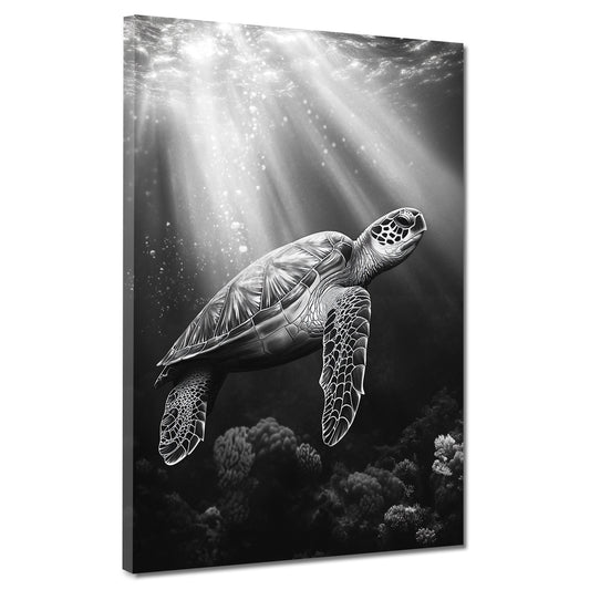 Tartaruga marina bianco e nero quadro