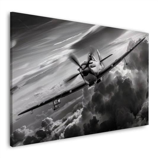 Aereo vintage bianco e nero con colori brillanti quadro