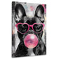 Bulldog francese con bolla di gomma rosa e occhiali quadro