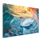 Cigno elegante riflessi luce acqua quadro
