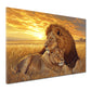 Leoni tramonto amore coppia savana quadro