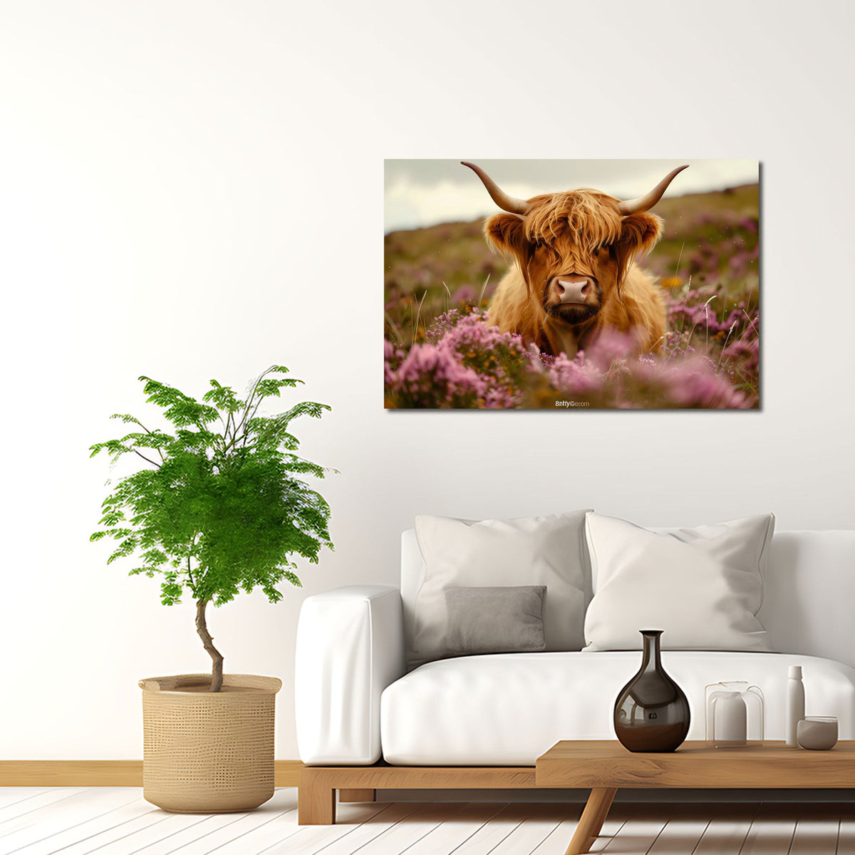 Quadro mucca highland brughiera ambientato