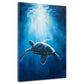 Tartaruga marina luce oceano blu quadro