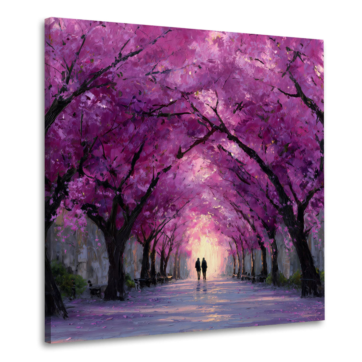 Viale di ciliegi in fiore con passanti quadro