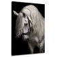 Cavallo bianco con fluente criniera elegante quadro
