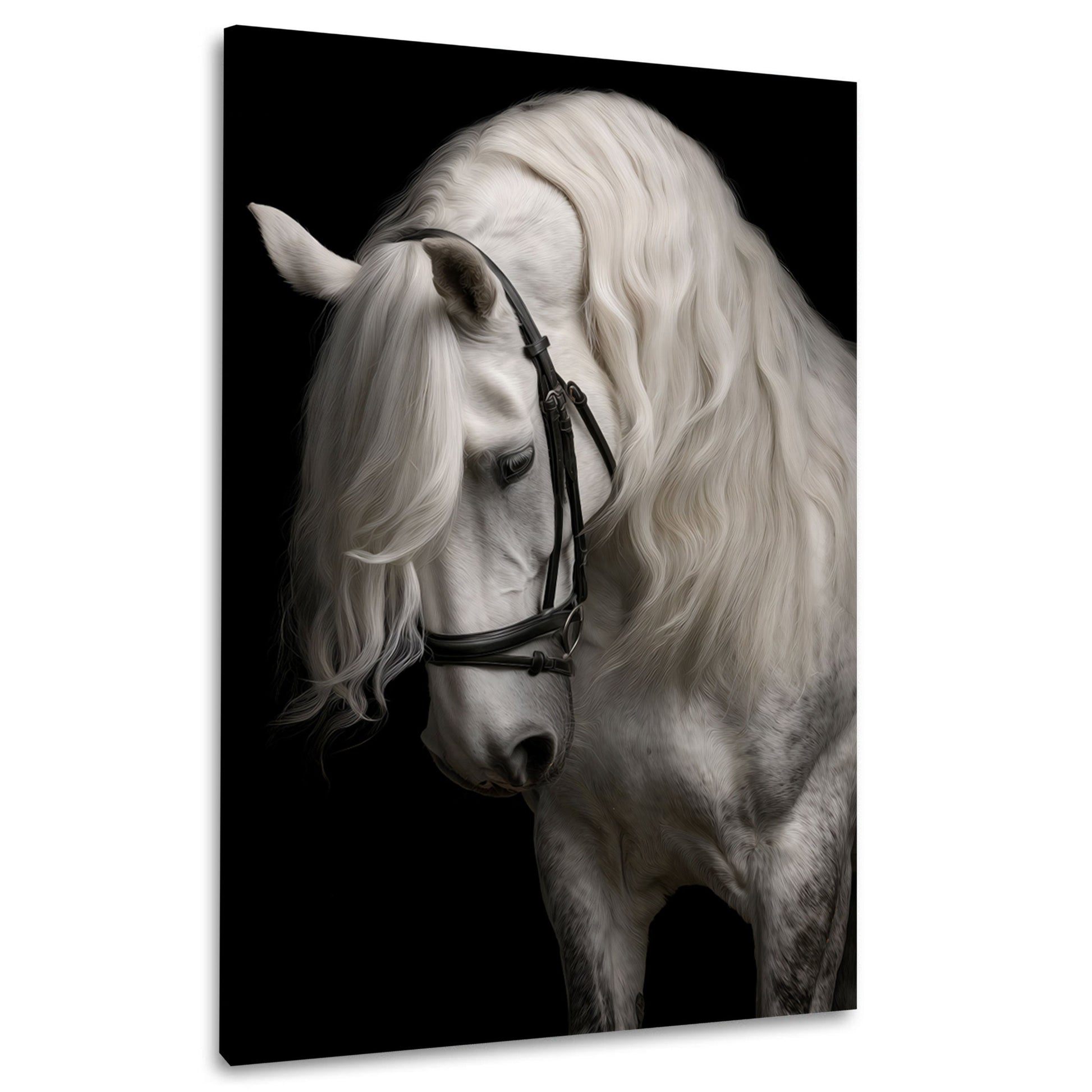 Cavallo bianco con fluente criniera elegante quadro