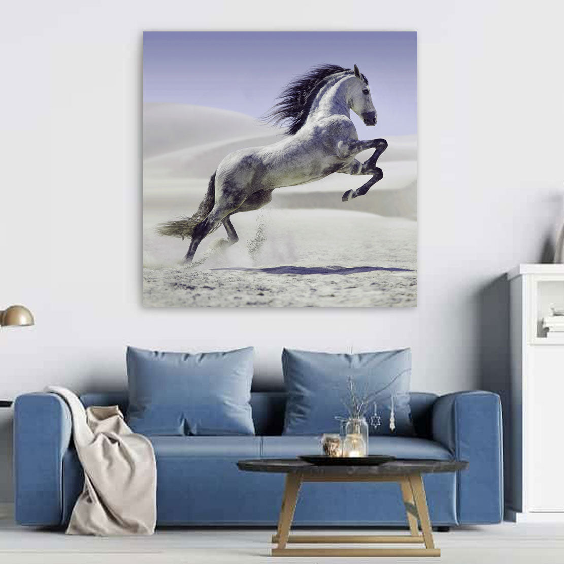 Quadro Beautiful White Horse, Cavallo [Consegna gratuita]–