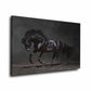Quadro stampa su tela cavallo Mustang nero Black Style