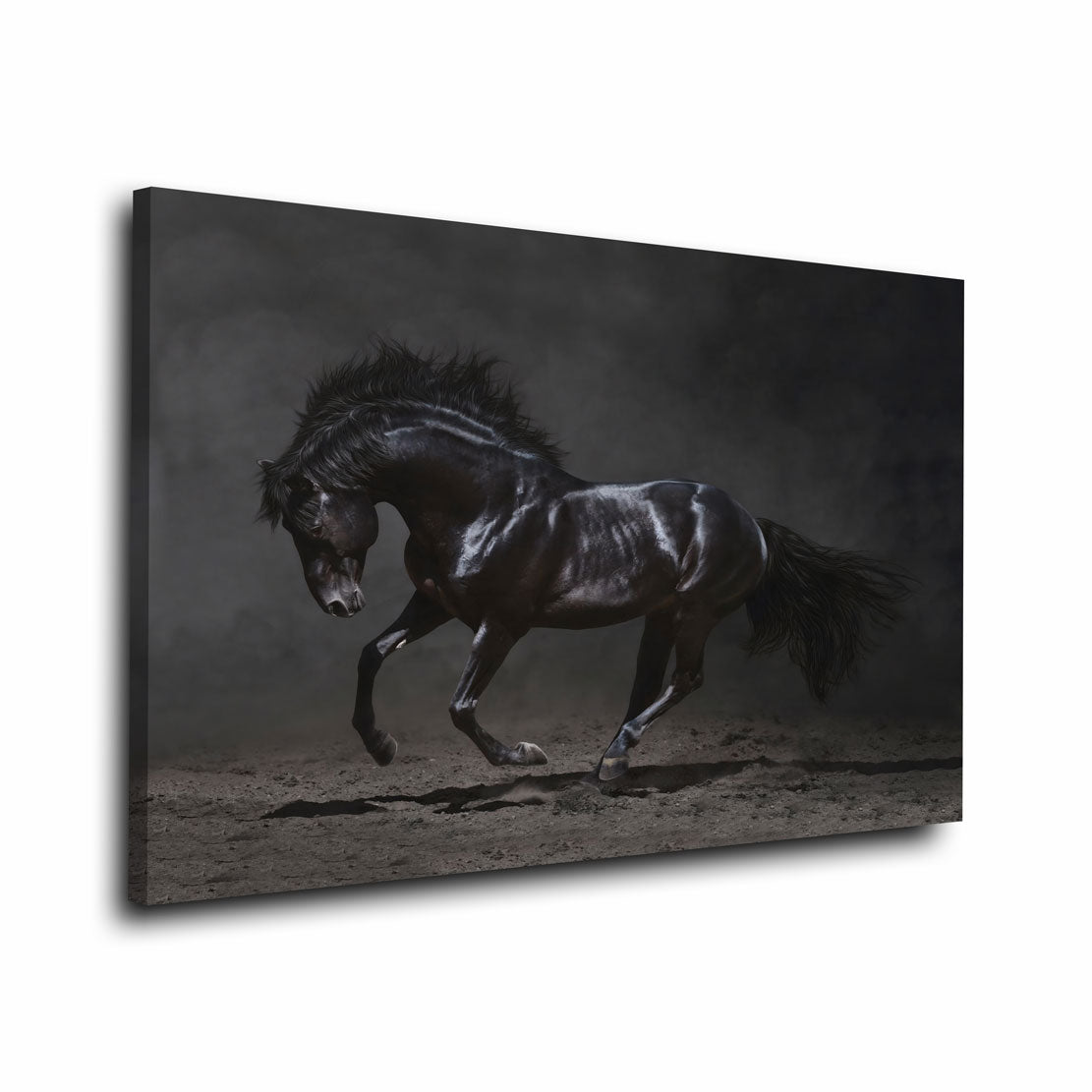 Quadro stampa su tela cavallo Mustang nero Black Style