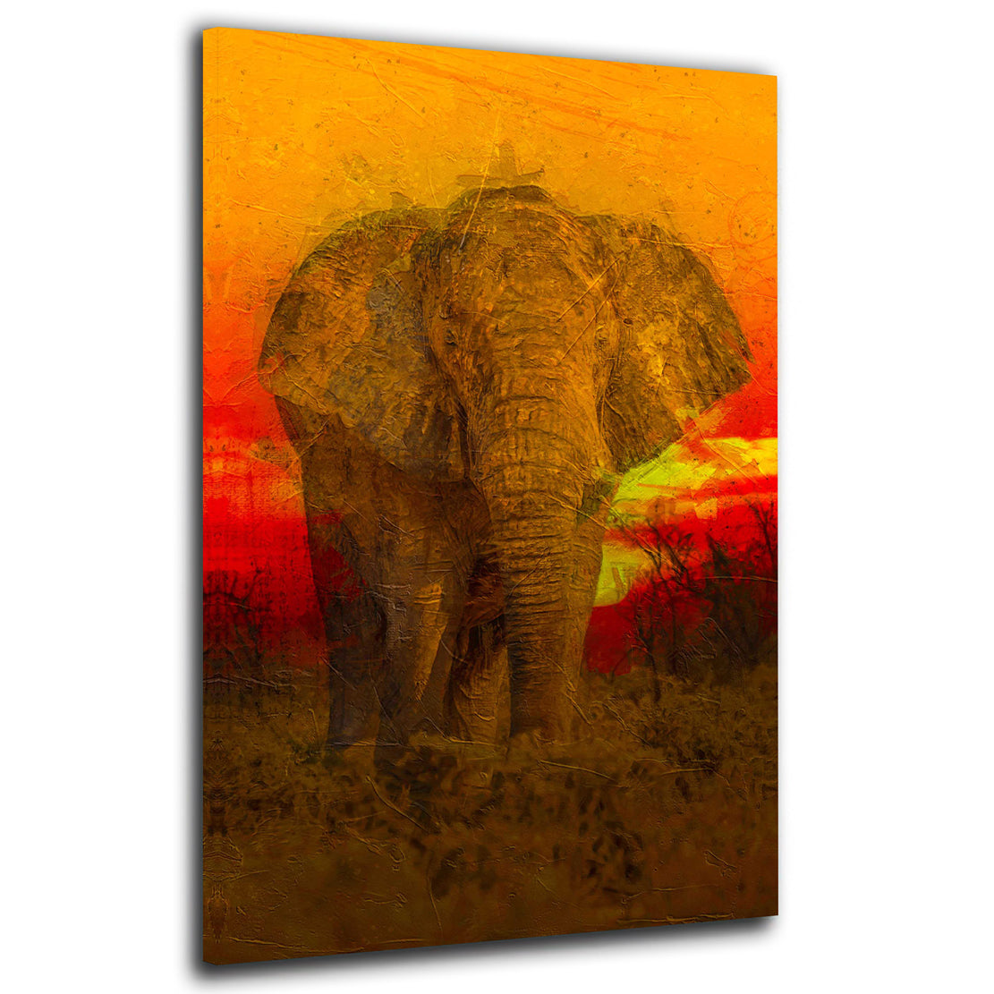 Quadro stampa su tela moderno elefante Red Sunset Style Africa